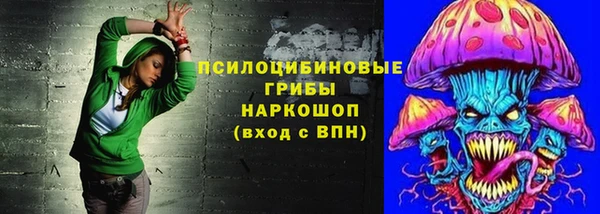 МДПВ Алексин