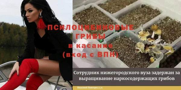 не бодяженный Алзамай