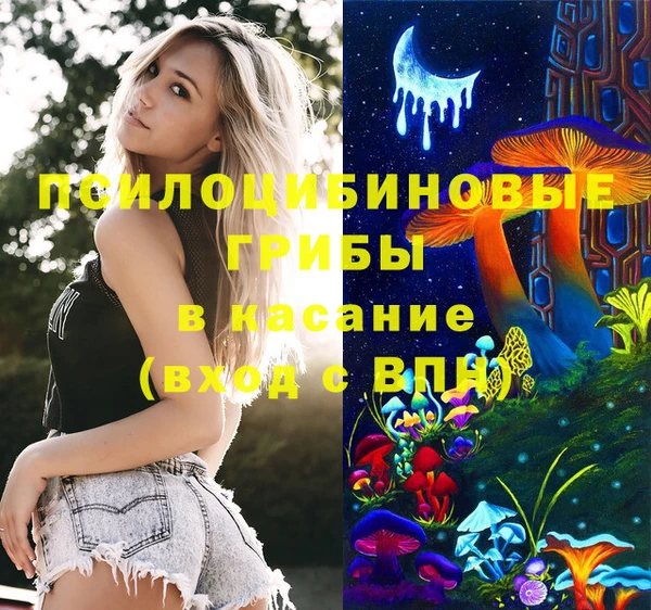 МДПВ Алексин