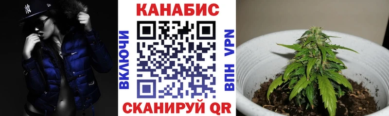 Купить закладки  Чита  Конопля план 
